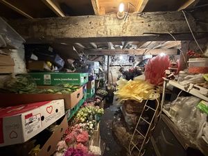 Photo 5- click for photo gallery